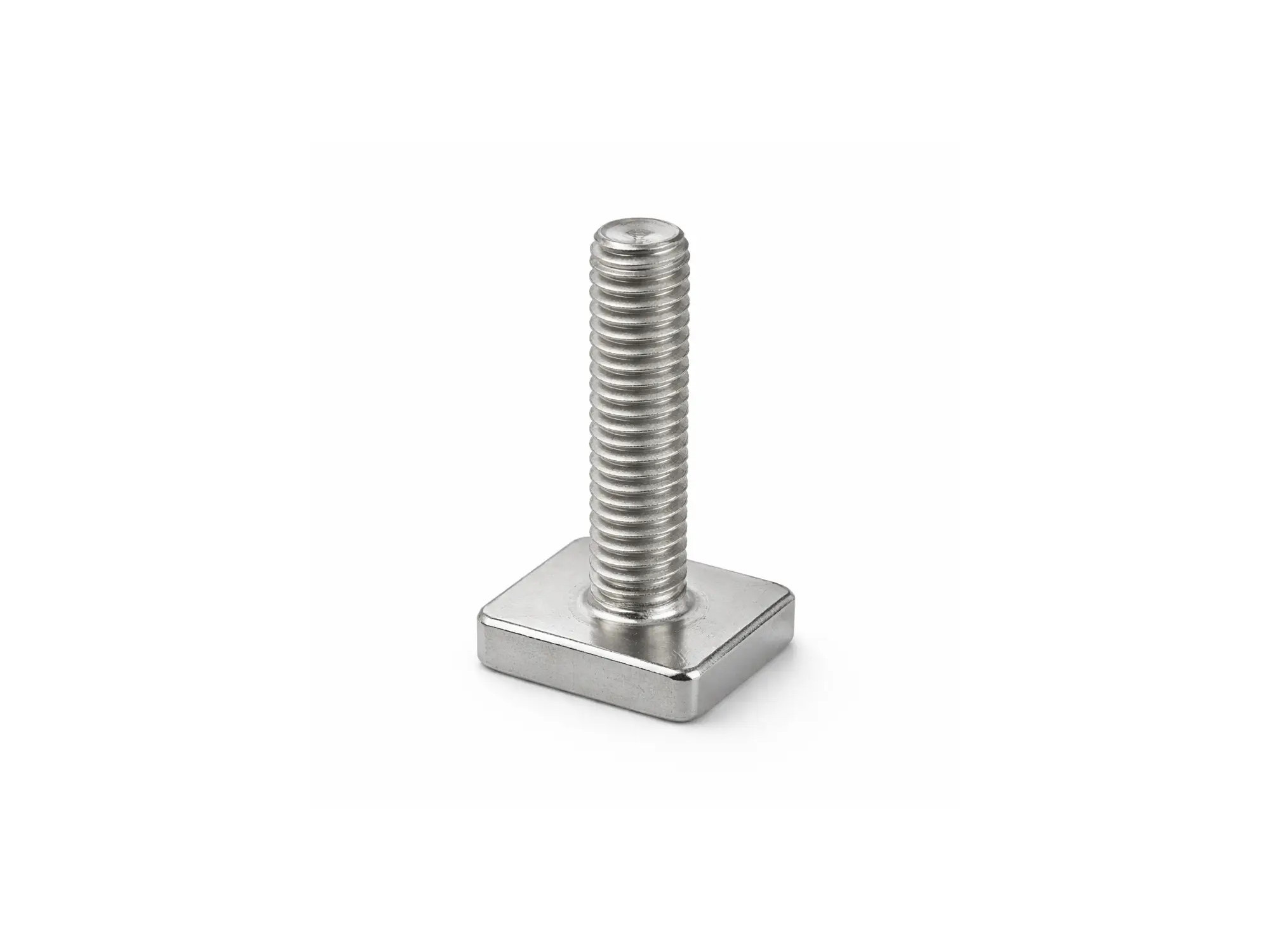 SNAILER® - T-bolt 2x2cm for accessories