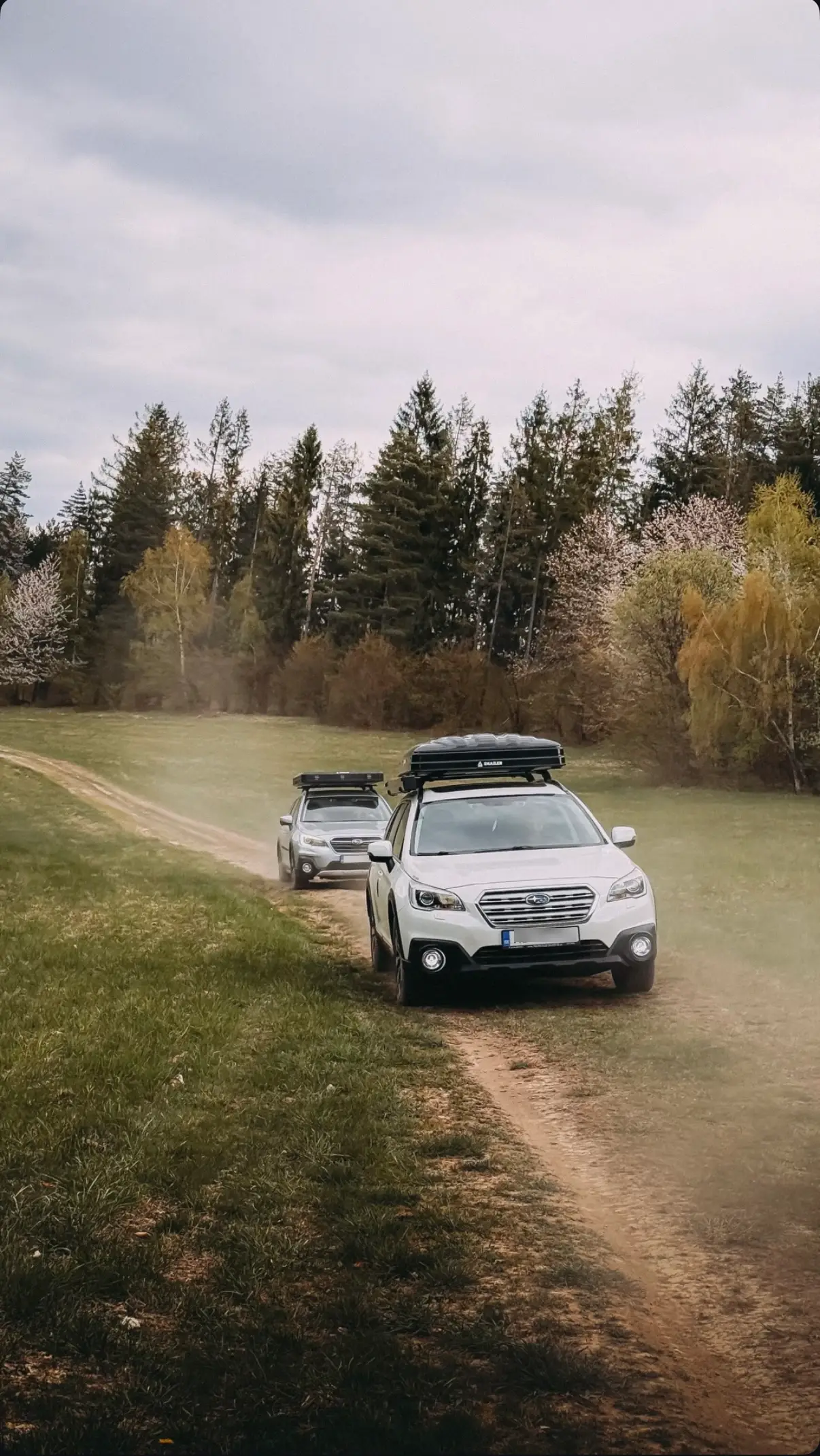 Snailer Alduo Dachzelt auf Subaru Outback - Bild aus der Kundengalerie aus der Slowakei